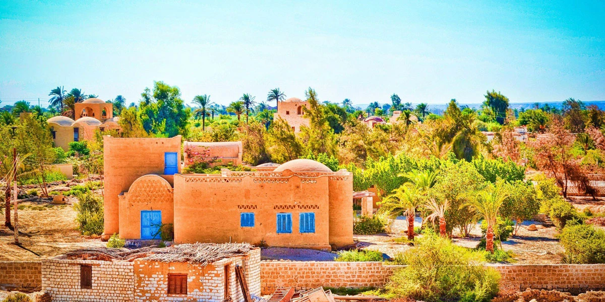 DayTour to Fayoum Oasis From Cairo