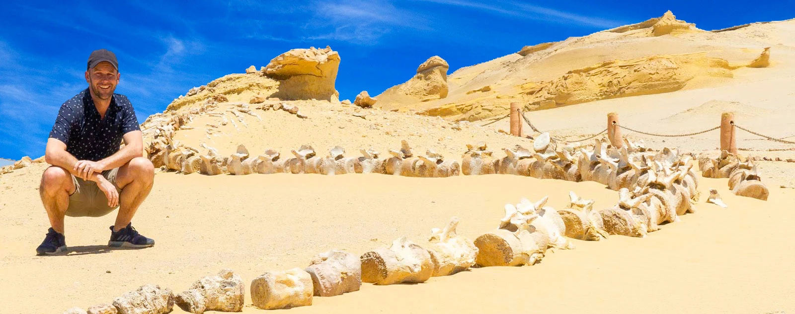 Wadi El Hitan & Desert Safari Trip From Cairo