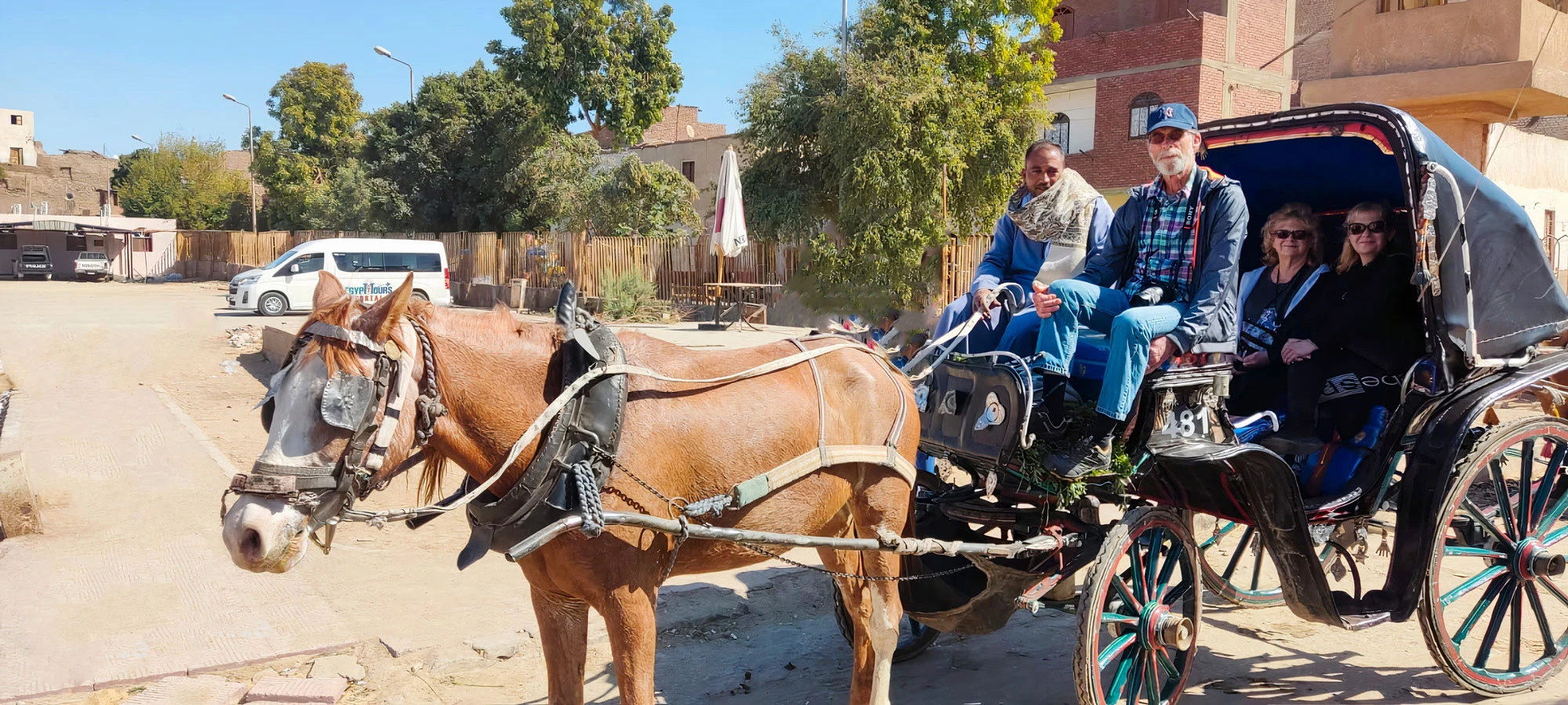 Aswan Horse Carriage Tour