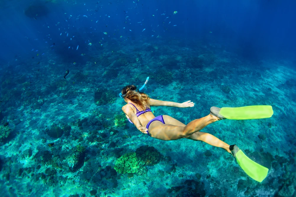 Discover Scuba Diving from EL Gouna Trip