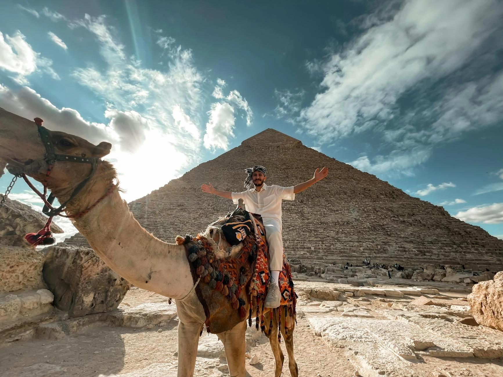 Camel Market in Cairo: Inside Birqash’s Historic Trading Hub [2025 Guide]