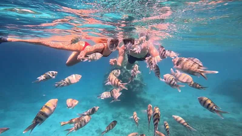7 Days Cairo and Hurghada Tours