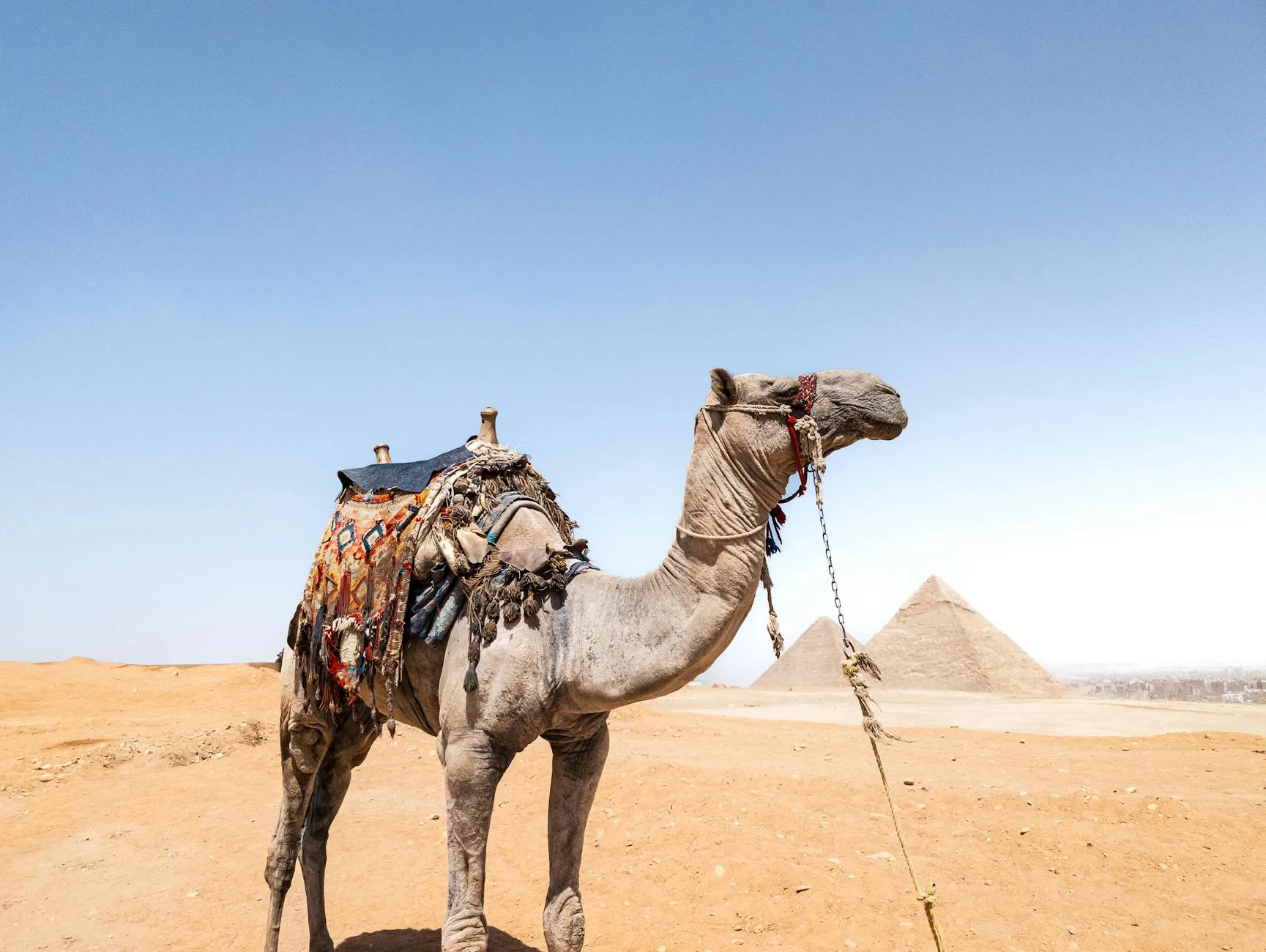 The Red Pyramid: History, Design, and Visiting Egypt’s Oldest True Pyramid