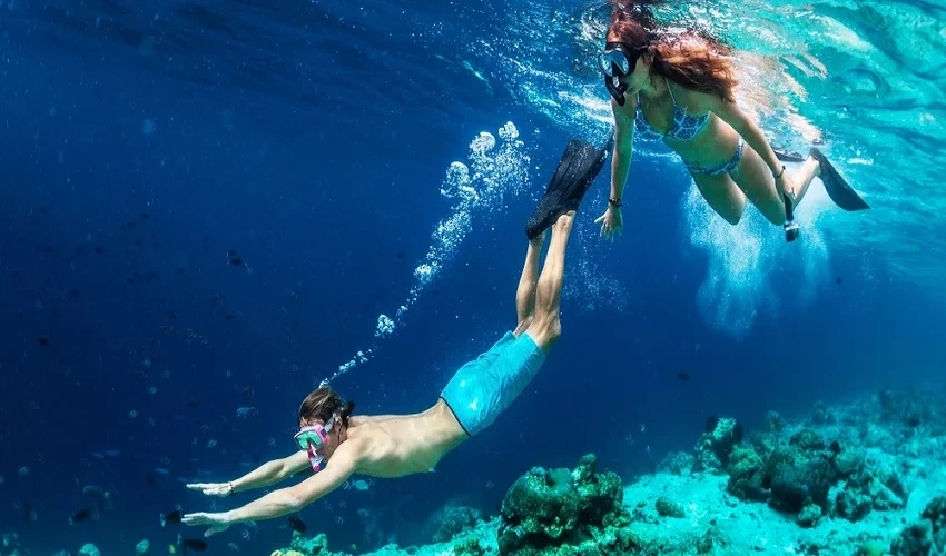 Soma Bay Diving Excursion Tour